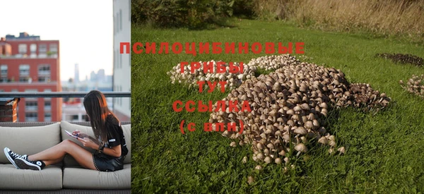 шишки Армянск