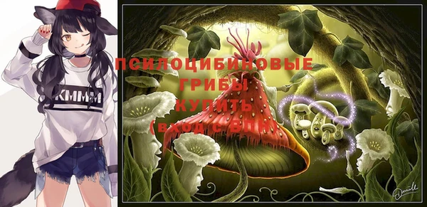 шишки Армянск