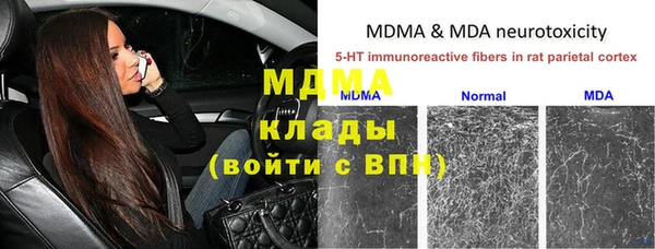 шишки Армянск