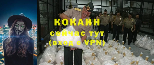 шишки Армянск
