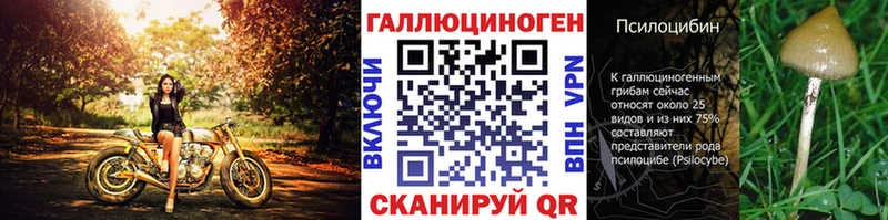 MEGA как войти  Ельня  Псилоцибиновые грибы Psilocybine cubensis 